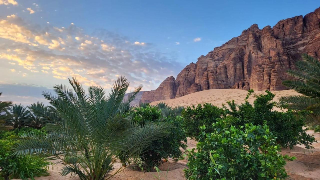 الجوهرة Diamond Plus Villa Al Ula Ngoại thất bức ảnh