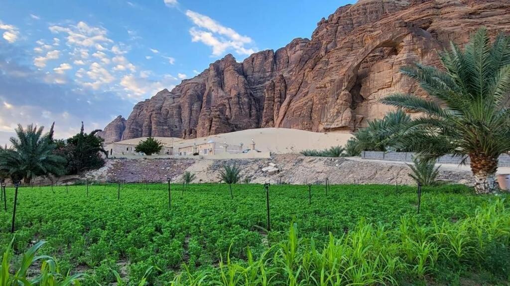 الجوهرة Diamond Plus Villa Al Ula Ngoại thất bức ảnh